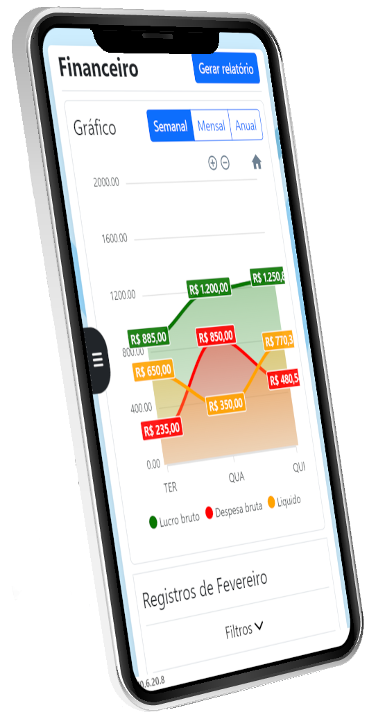 Tela financeiro